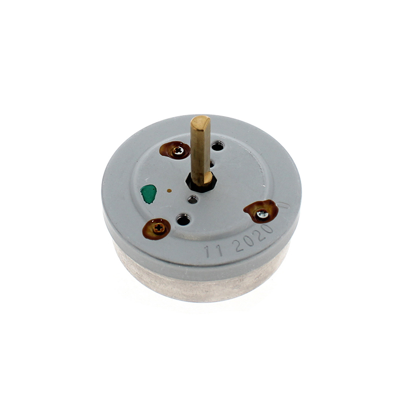 Bauknecht 481934948019 timer
