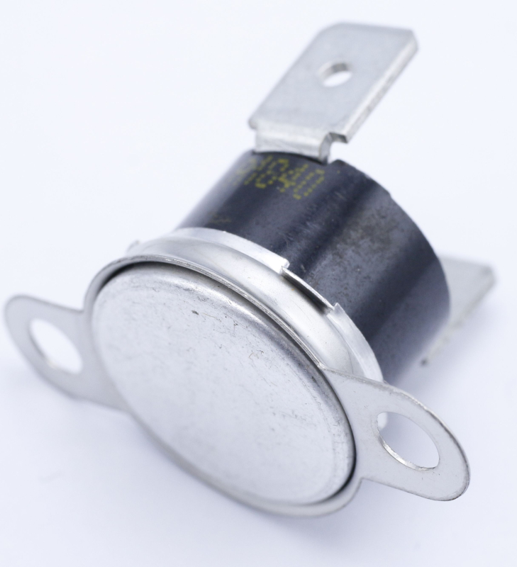 Bauknecht 481010666297 temperature switch