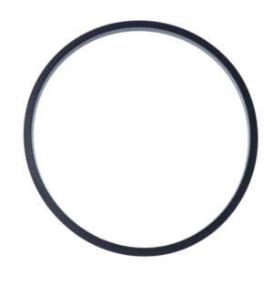 DeLonghi AS00002090 seal